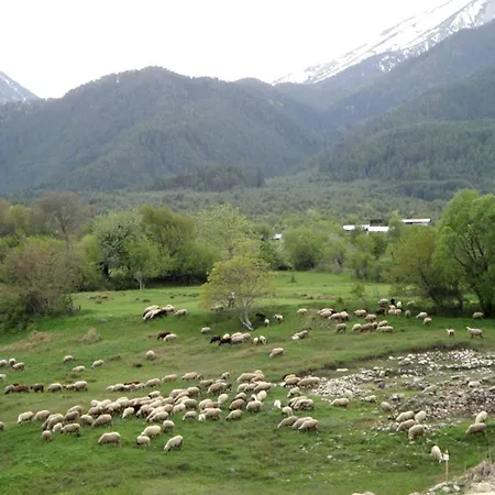 Apartament In Mountains
